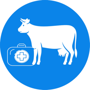 Dairy Health